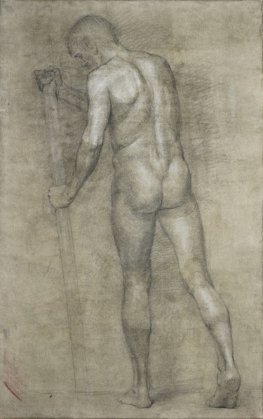 Male nude. Study drawing